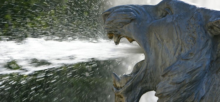 Wasserspeier